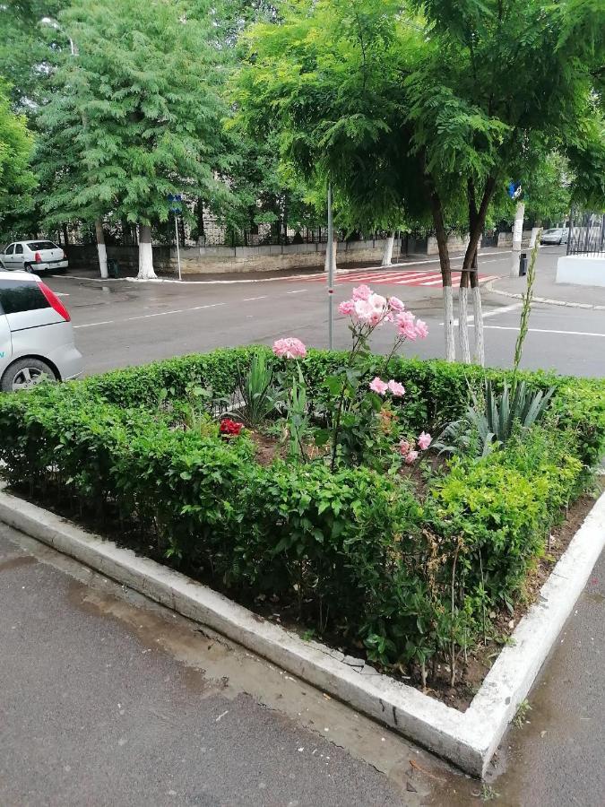 Mara Studio Apartment คอนสตันซา ภายนอก รูปภาพ
